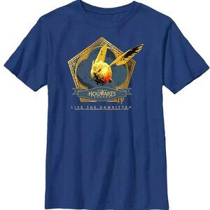 Boys Size Small Hogwarts Legacy Golden Snidget Logo T Shirt